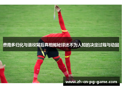 费南多归化与退役背后真相揭秘球迷不为人知的决定过程与动因