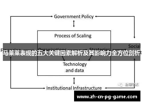 马莱莱表现的五大关键因素解析及其影响力全方位剖析